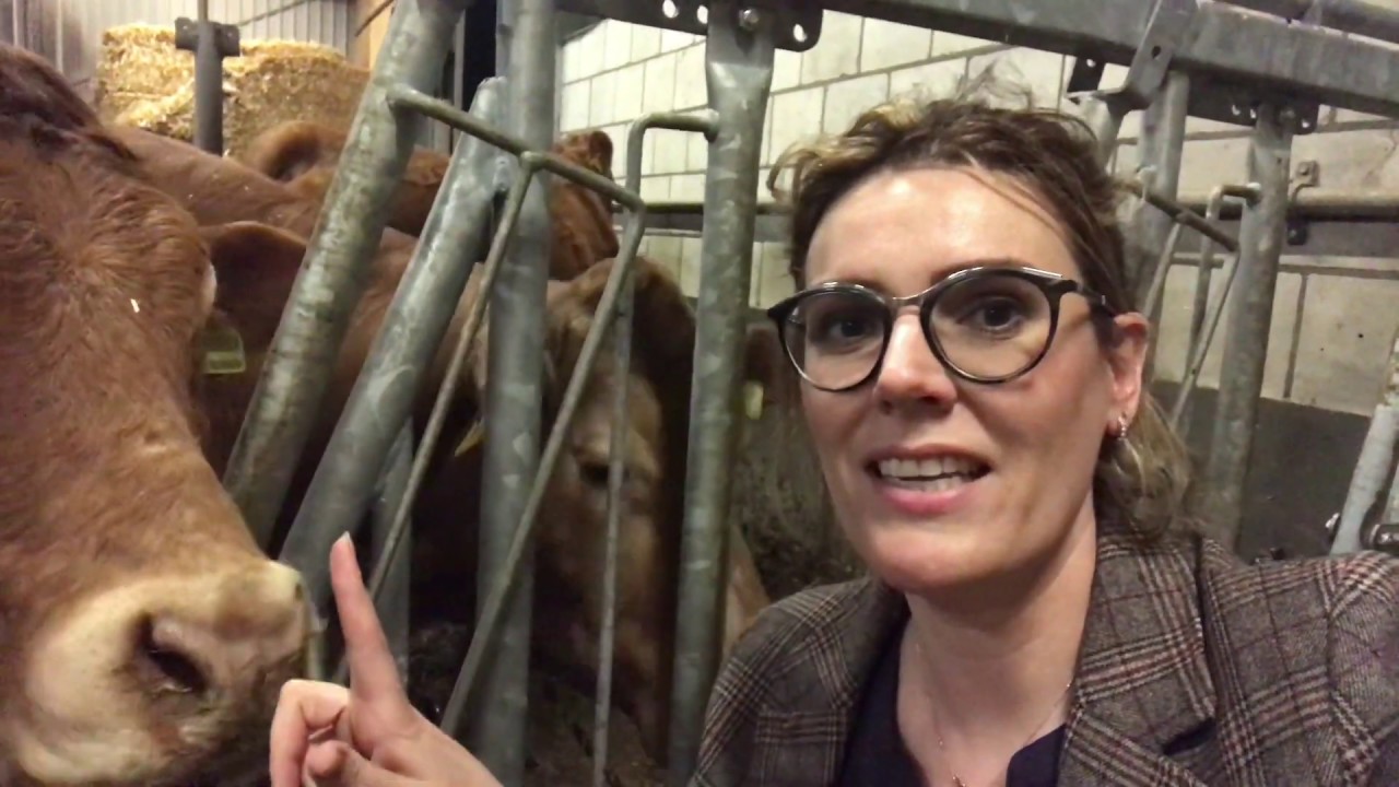 Herkomst en Geschiedenis van Ossobuco